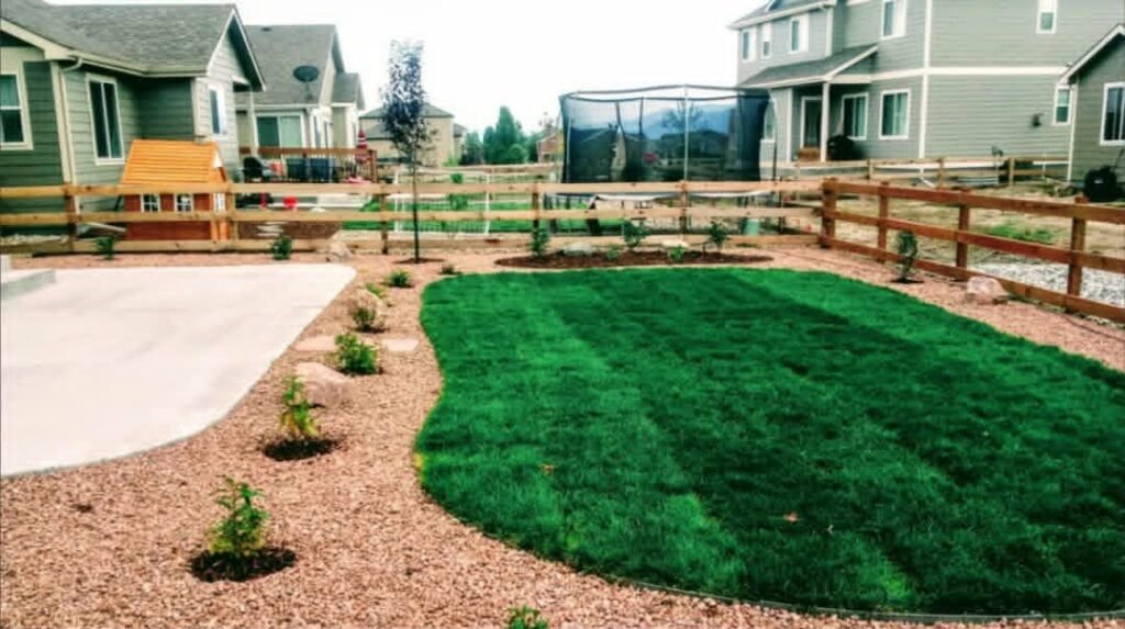Front yard transformation from unfinished dirt to polished xeriscape with plants and rock

