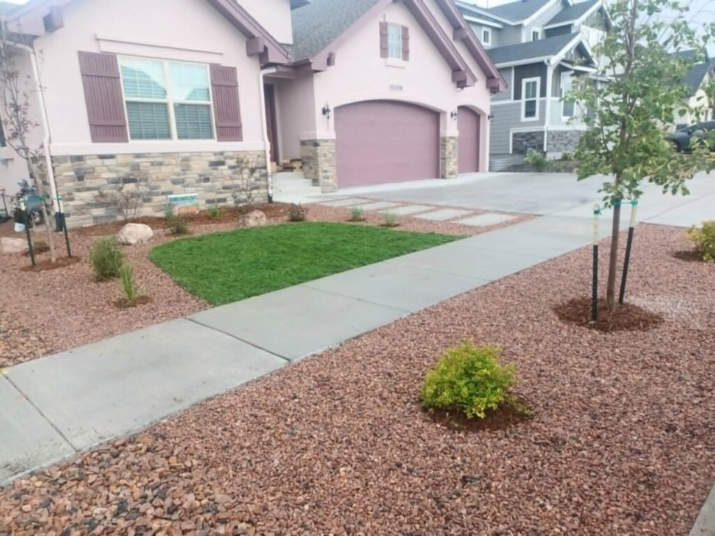 Front yard transformation from unfinished dirt to polished xeriscape with plants and rock

