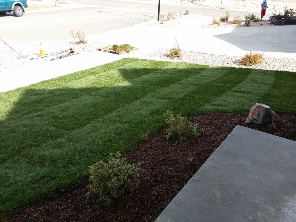 Front yard transformation from unfinished dirt to polished xeriscape with plants and rock

