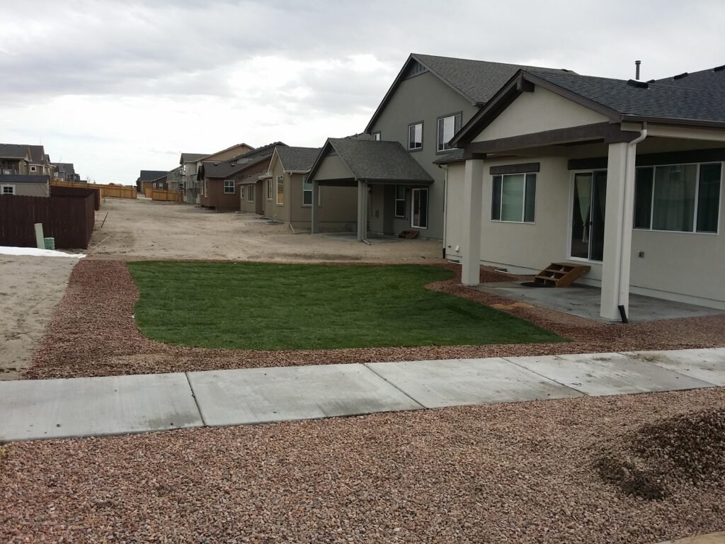 Front yard transformation from unfinished dirt to polished xeriscape with plants and rock

