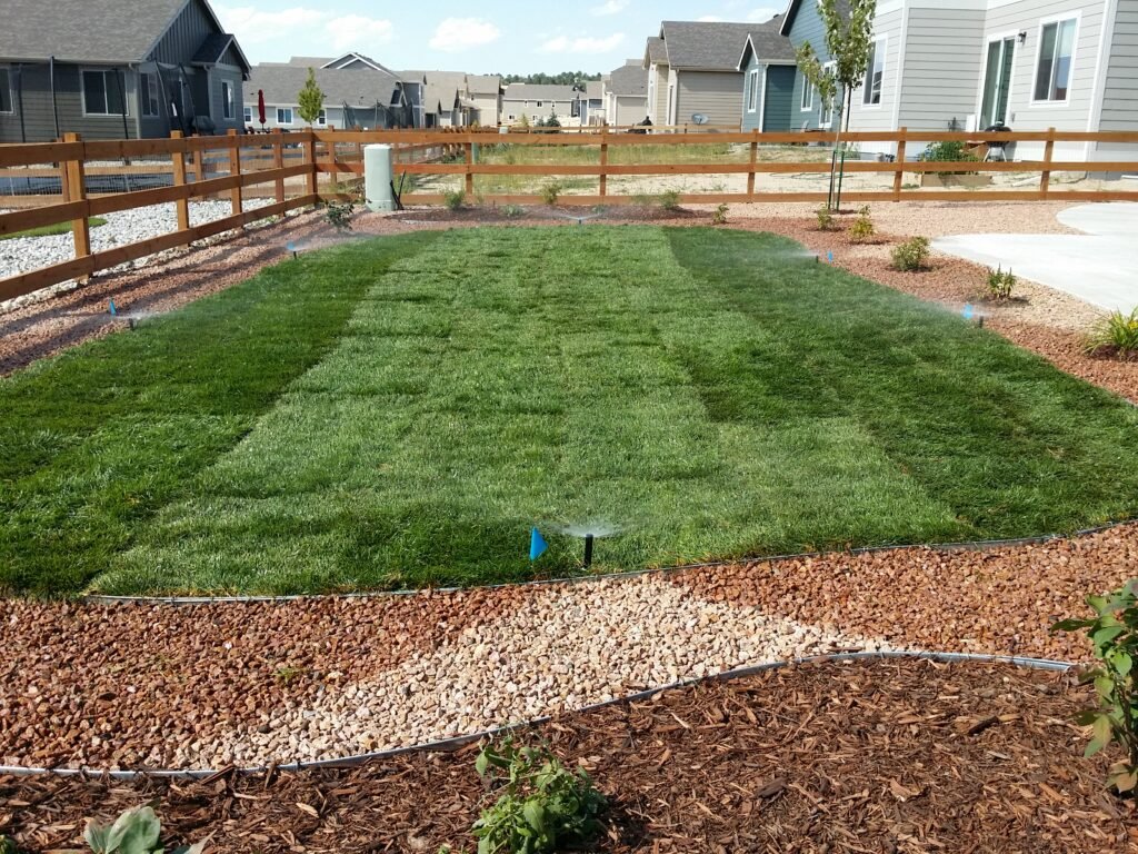 Front yard transformation from unfinished dirt to polished xeriscape with plants and rock

