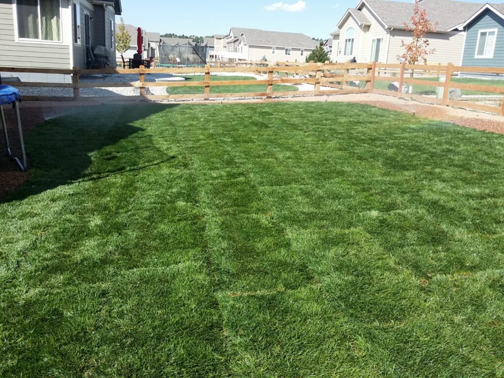 Front yard transformation from unfinished dirt to polished xeriscape with plants and rock

