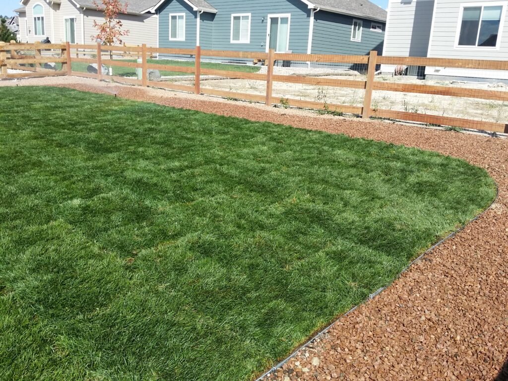 Front yard transformation from unfinished dirt to polished xeriscape with plants and rock


