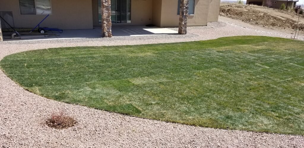 Front yard transformation from unfinished dirt to polished xeriscape with plants and rock

