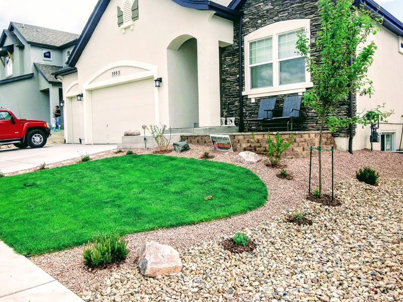 Front yard transformation from unfinished dirt to polished xeriscape with plants and rock

