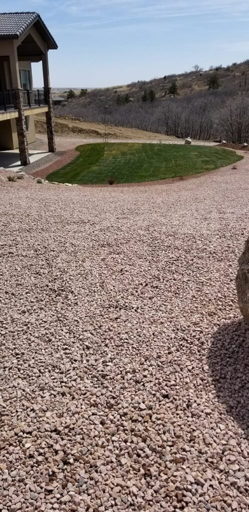 Water-wise xeriscape front yard featuring native shrubs, mulch, and drip irrigation


