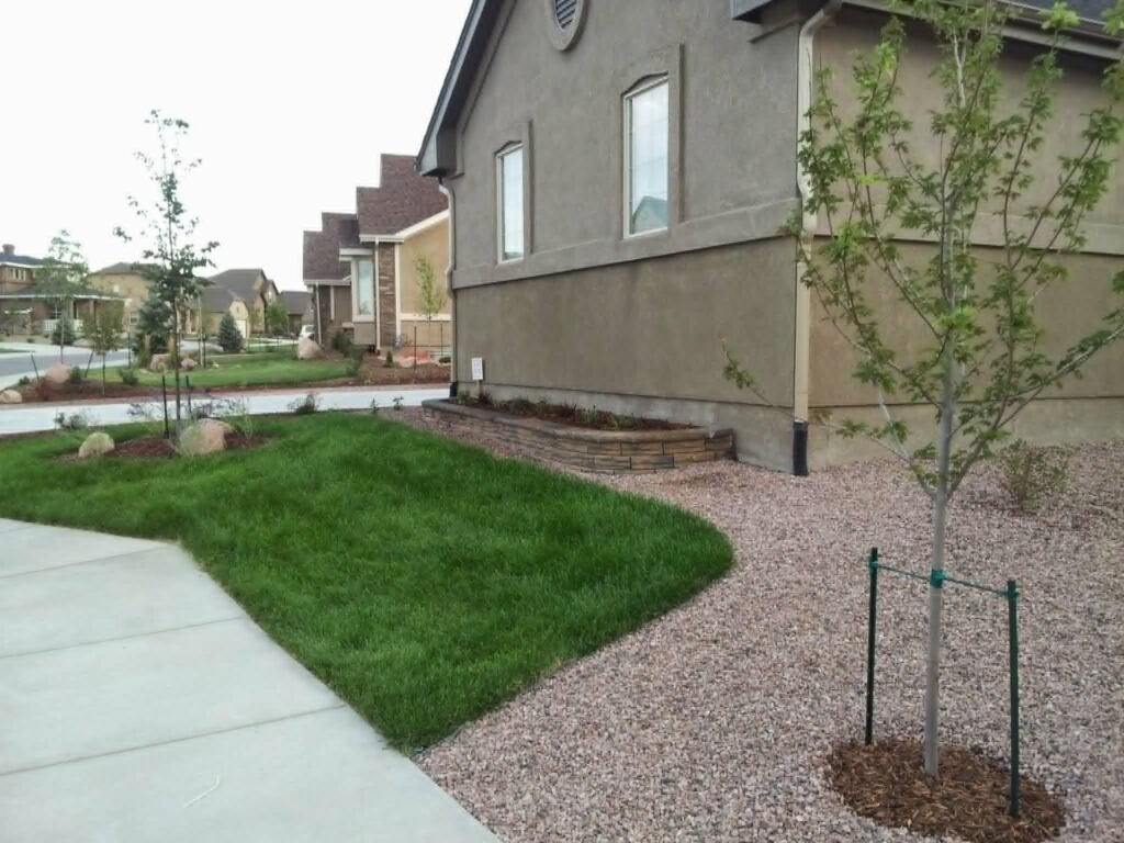 Front yard transformation from unfinished dirt to polished xeriscape with plants and rock

