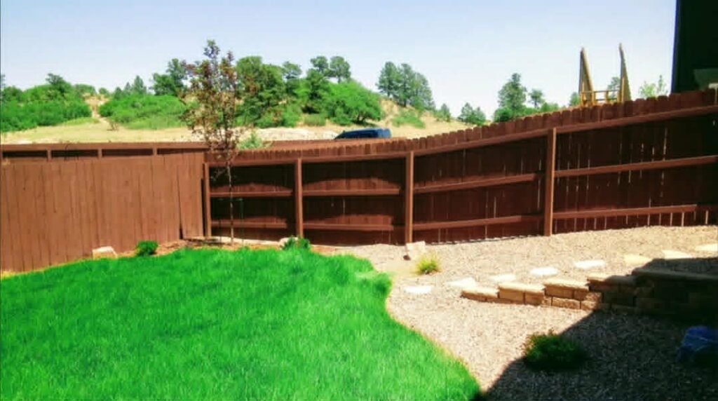 Front yard transformation from unfinished dirt to polished xeriscape with plants and rock

