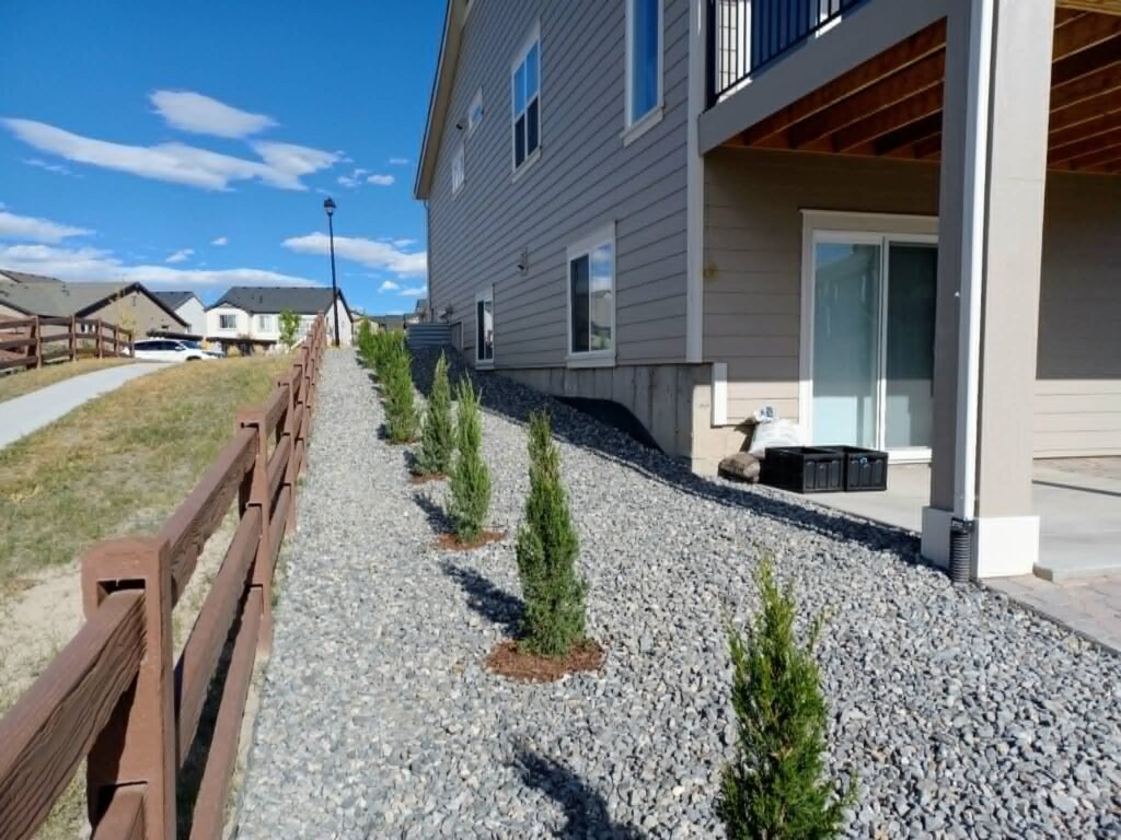Water-wise xeriscape front yard featuring native shrubs, mulch, and drip irrigation

