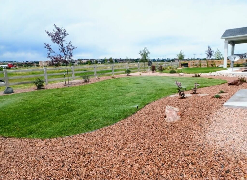 Front yard transformation from unfinished dirt to polished xeriscape with plants and rock

