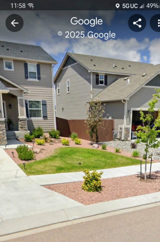 Front yard transformation from unfinished dirt to polished xeriscape with plants and rock

