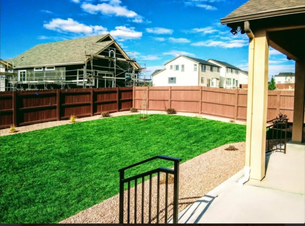 Front yard transformation from unfinished dirt to polished xeriscape with plants and rock

