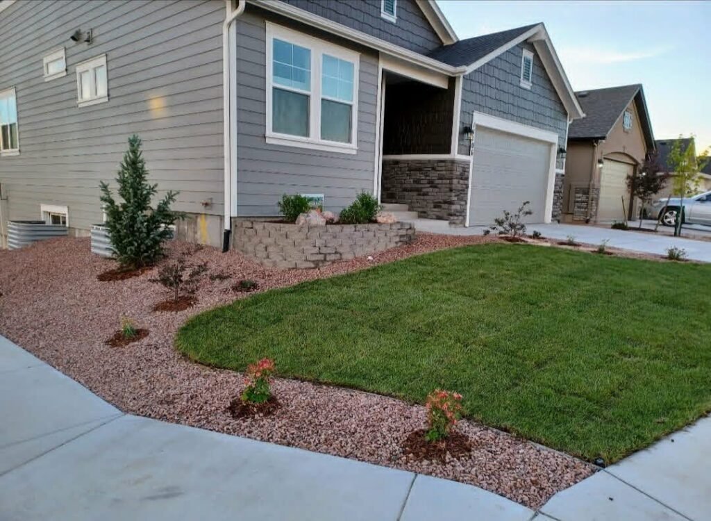 Front yard transformation from unfinished dirt to polished xeriscape with plants and rock

