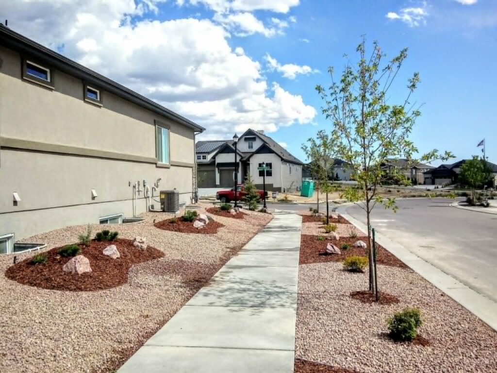 Water-wise xeriscape front yard featuring native shrubs, mulch, and drip irrigation

