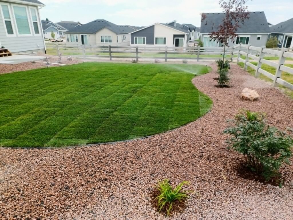 Front yard transformation from unfinished dirt to polished xeriscape with plants and rock

