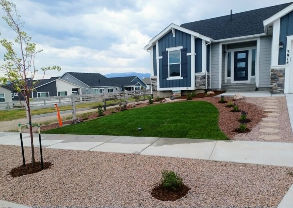 Front yard transformation from unfinished dirt to polished xeriscape with plants and rock

