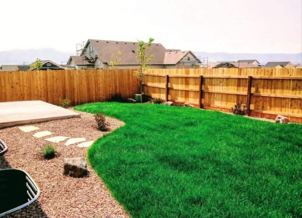 Front yard transformation from unfinished dirt to polished xeriscape with plants and rock

