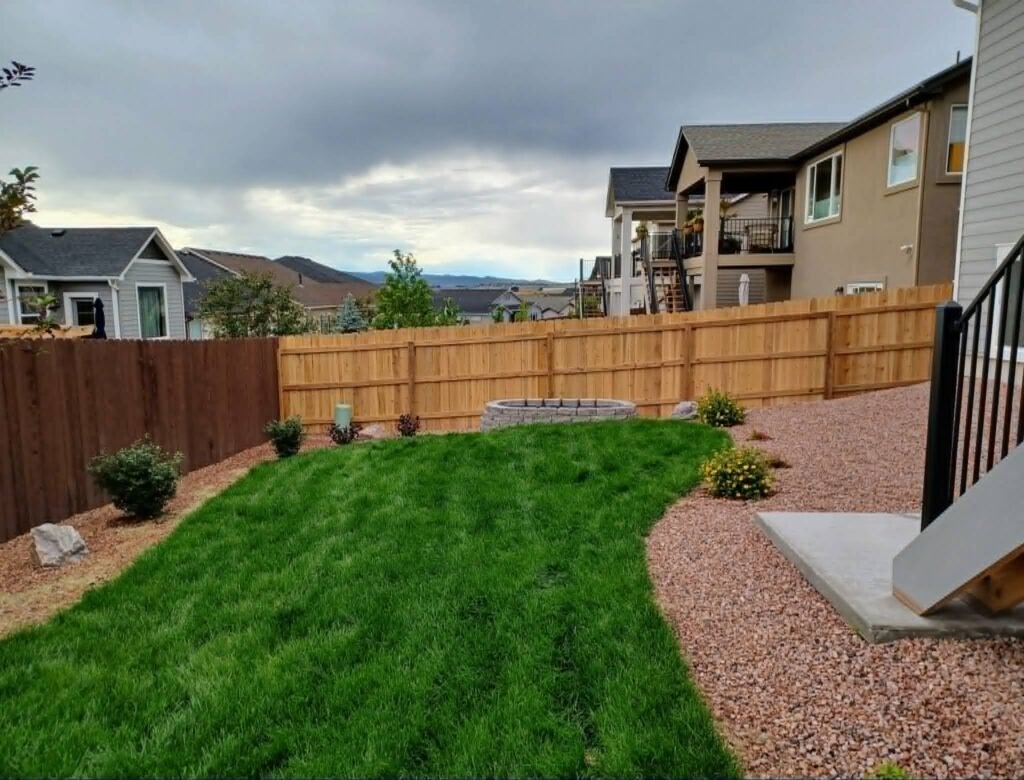 Front yard transformation from unfinished dirt to polished xeriscape with plants and rock


